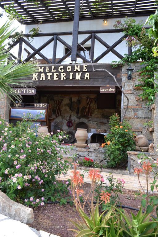 Katerina Apartments Káto Zákros Exterior foto